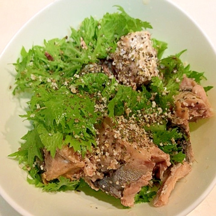 簡単おつまみ作り わさび菜と鯖のイタリアンサラダ レシピ 作り方 By アボカドプリン 楽天レシピ